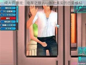 成人向游戏：电车之狼 r——体验真实的恋爱模拟