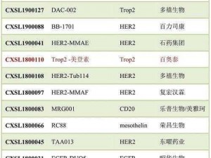 adc 十八岁年龄认证——提供安全可靠的身份验证服务