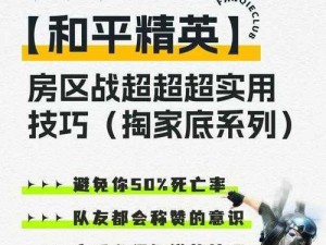 和平精英跨年暴击攻略：揭秘服饰币玩法技巧，提升实战实力备战新年战斗