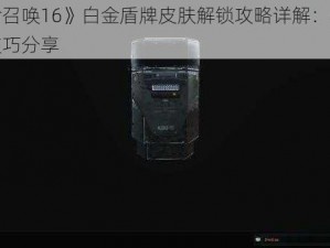 《使命召唤16》白金盾牌皮肤解锁攻略详解：步骤流程与技巧分享