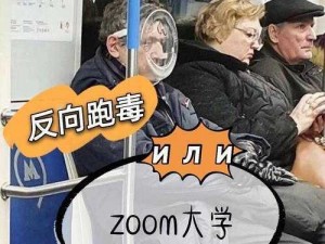 俄罗斯人与 ZOOM 人幸格差异对比表