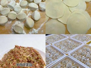 姬小满饺子皮最简单处理方法——轻松包饺子