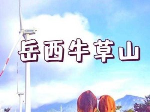 公园后山的交易：各种珍稀草药等你来发现