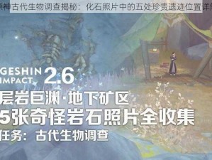 原神古代生物调查揭秘：化石照片中的五处珍贵遗迹位置详解