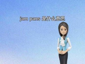 janpensevisa1819 竟被这样解读