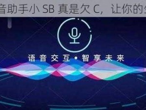 智能 AI 语音助手小 SB 真是欠 C，让你的生活更便捷