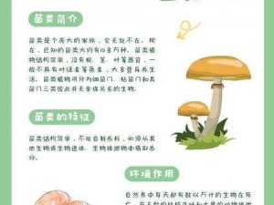 探索接吻交换菌体背后的奥秘