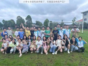 小学 6 年级和老师做了，究竟是怎样的产品？