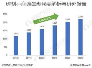 时刻：海滩生态深度解析与研究报告