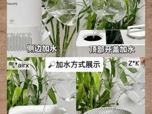 不可思议的加湿器：神秘加湿科技，奢华舒适体验