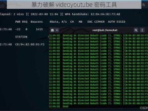 暴力破解 videoyoutube 密码工具