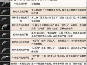 荒野大镖客2黑衣美人专属枪支获取攻略：详细指南揭秘枪支获取之道