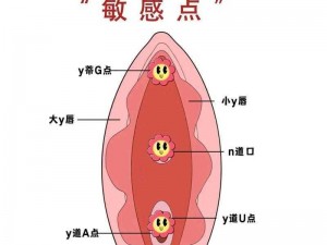 新手自己扣：探索私密领域的正确方式