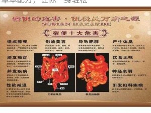 小说老徐排毒得吸：排肠毒、清宿便，天然草本配方，让你一身轻松