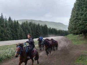 古道今江湖：深入解读草原探险攻略，平民玩家的草原攻略宝典