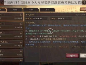 《三国志13》同盟与个人发展策略深度解析及玩法攻略探讨