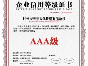 AAA 传媒有限公司，专注于打造高品质的视频内容