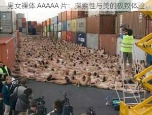 男女裸体 AAAAA 片：探索性与美的极致体验