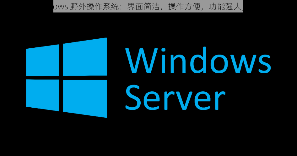 中国 windows 野外操作系统：界面简洁，操作方便，功能强大，安全可靠