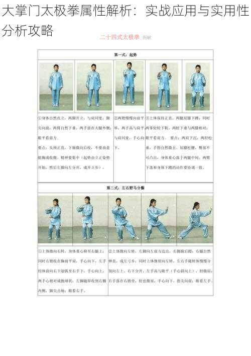 大掌门太极拳属性解析：实战应用与实用性分析攻略