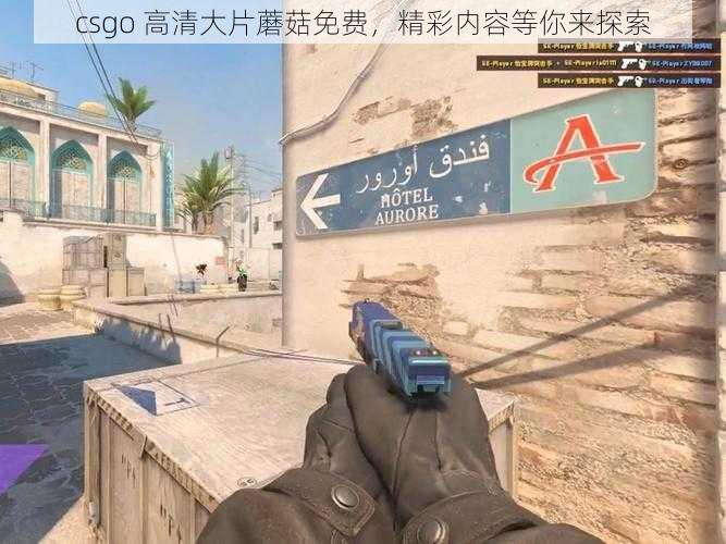 csgo 高清大片蘑菇免费，精彩内容等你来探索