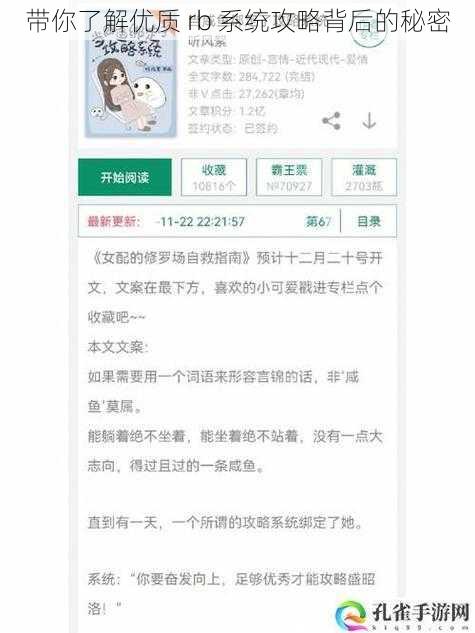 带你了解优质 rb 系统攻略背后的秘密