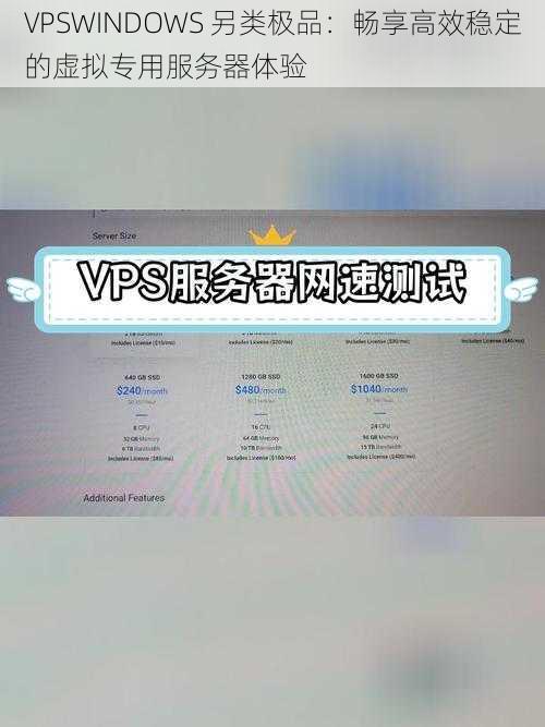 VPSWINDOWS 另类极品：畅享高效稳定的虚拟专用服务器体验