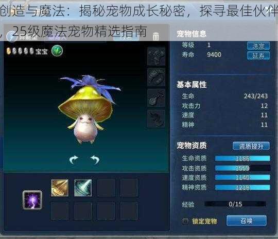 创造与魔法：揭秘宠物成长秘密，探寻最佳伙伴，25级魔法宠物精选指南