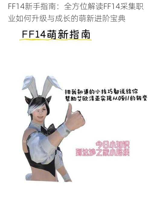 FF14新手指南：全方位解读FF14采集职业如何升级与成长的萌新进阶宝典