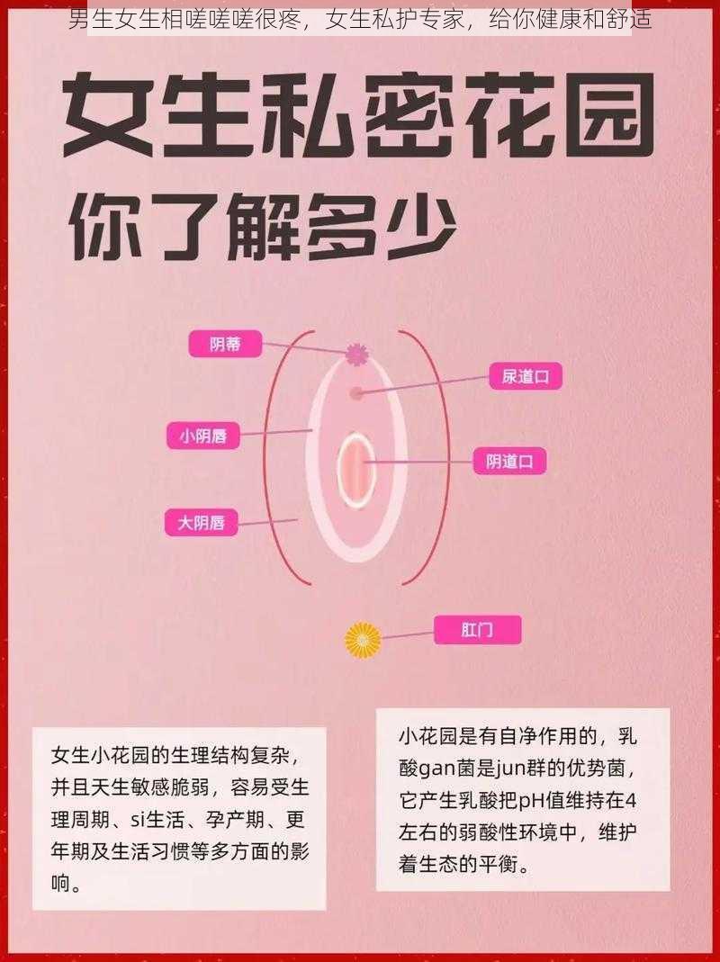 男生女生相嗟嗟嗟很疼，女生私护专家，给你健康和舒适