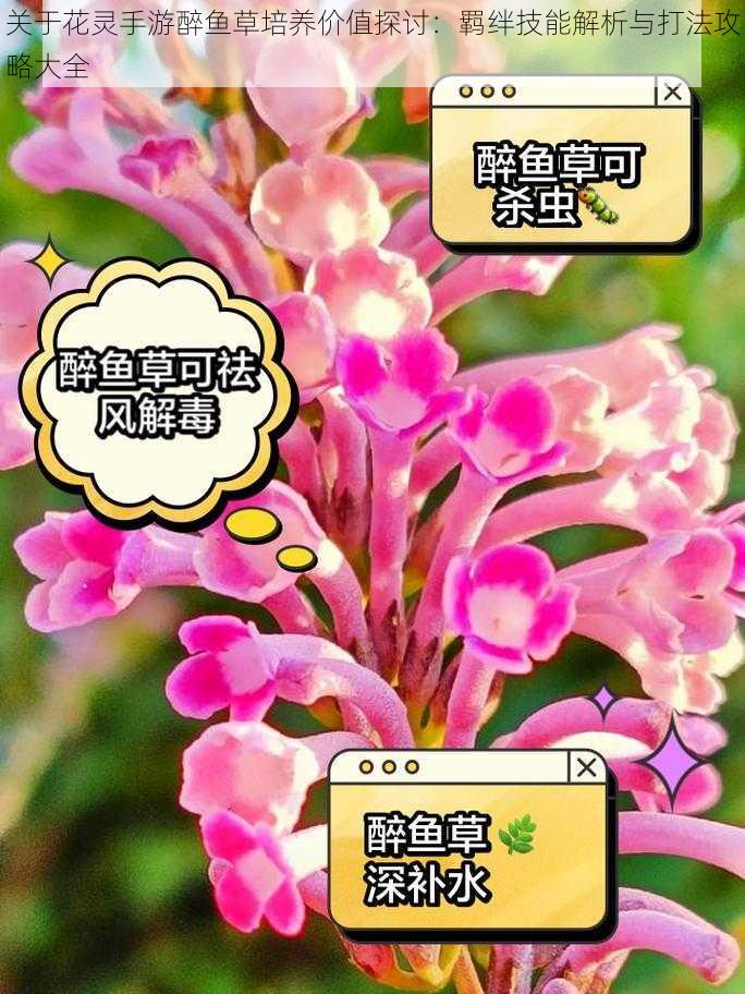 关于花灵手游醉鱼草培养价值探讨：羁绊技能解析与打法攻略大全