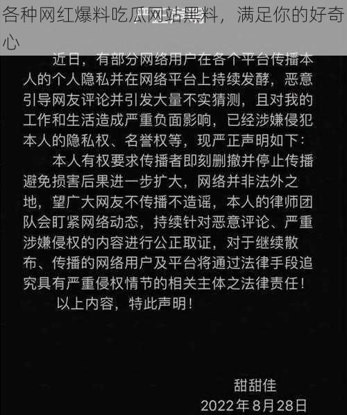 各种网红爆料吃瓜网站黑料，满足你的好奇心