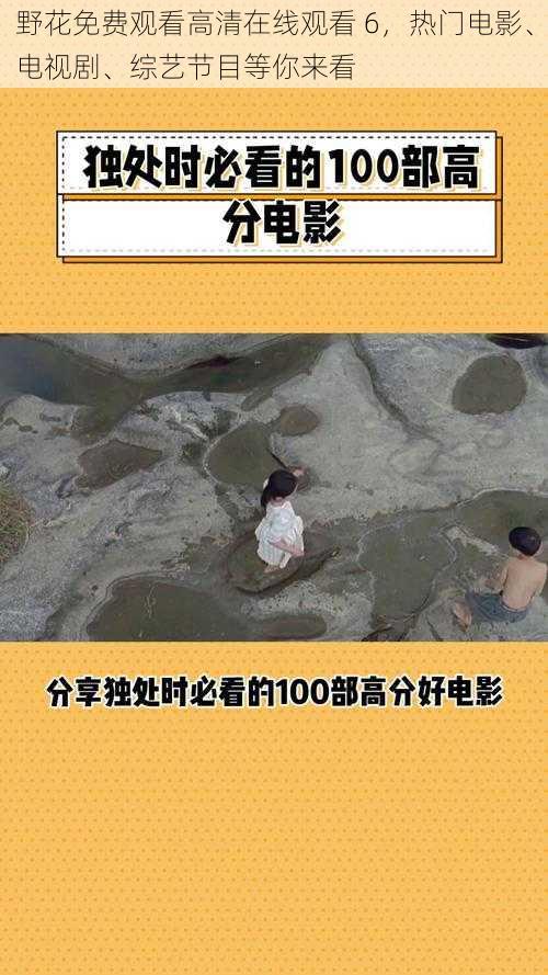 野花免费观看高清在线观看 6，热门电影、电视剧、综艺节目等你来看