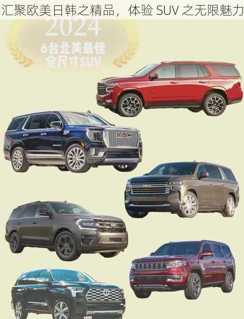 汇聚欧美日韩之精品，体验 SUV 之无限魅力