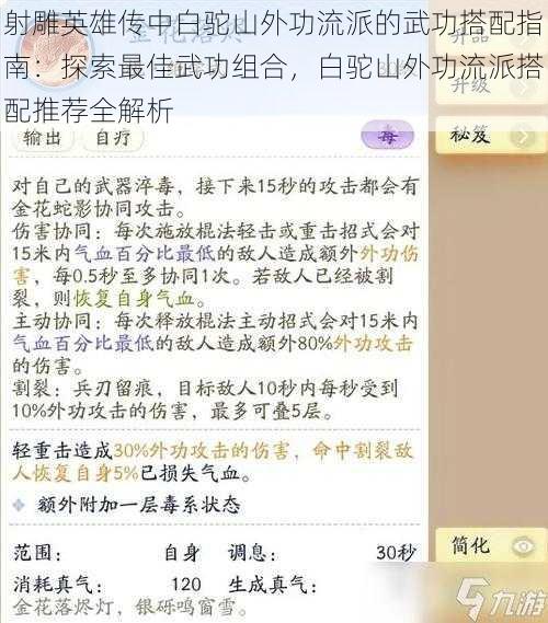 射雕英雄传中白驼山外功流派的武功搭配指南：探索最佳武功组合，白驼山外功流派搭配推荐全解析