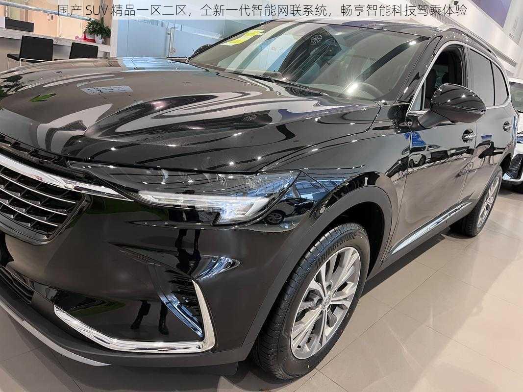 国产 SUV 精品一区二区，全新一代智能网联系统，畅享智能科技驾乘体验