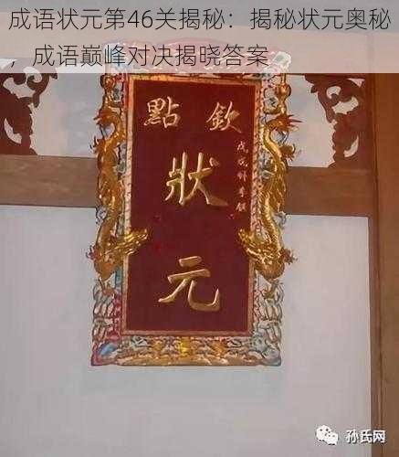 成语状元第46关揭秘：揭秘状元奥秘，成语巅峰对决揭晓答案