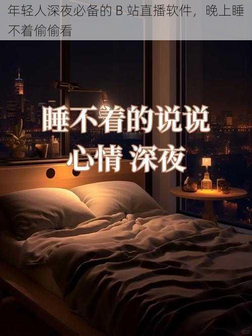 年轻人深夜必备的 B 站直播软件，晚上睡不着偷偷看