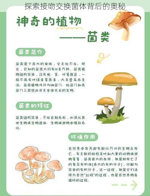 探索接吻交换菌体背后的奥秘