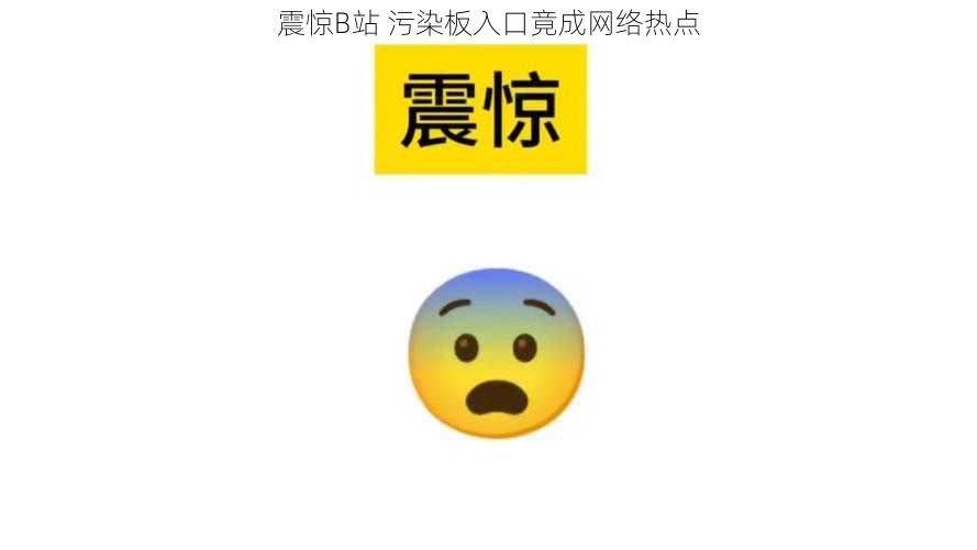 震惊B站 污染板入口竟成网络热点