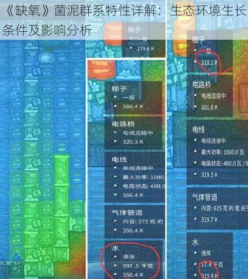 《缺氧》菌泥群系特性详解：生态环境生长条件及影响分析