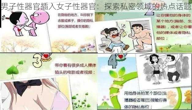 男子性器官插入女子性器官：探索私密领域的热点话题