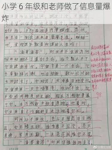 小学 6 年级和老师做了信息量爆炸