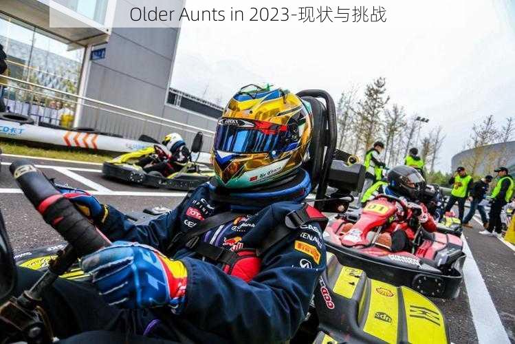 Older Aunts in 2023-现状与挑战